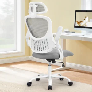 Ergonomic Desk Chair w/Lumbar Support & Flip-up Arms