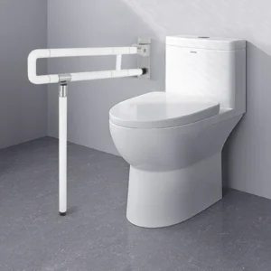 Wall-Mounted Grab Bar Assist for Bathroom and Toilet
